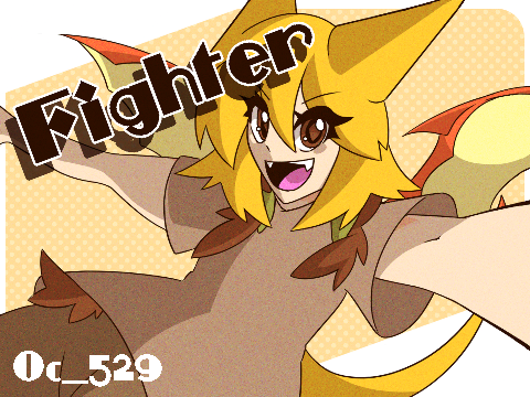 Fighter