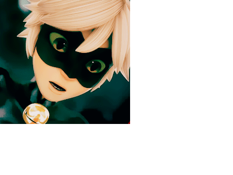 cat noir wastes 10 seconds of your life
