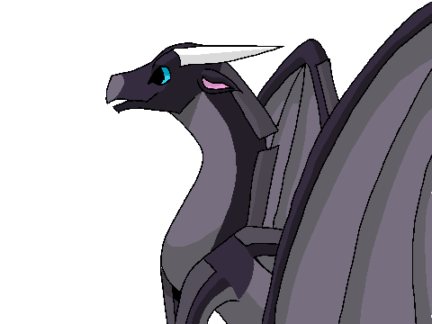 WIP-24-Perfect