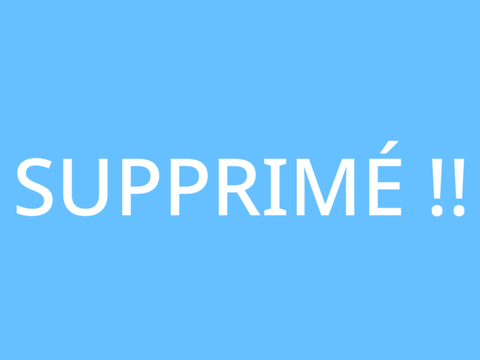 NON ! J'AI DIT SUPPRIMÉ ! Remix remix remix