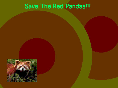 Save The Red Pandas!!!