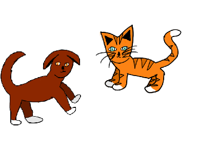 Dog und cat 
