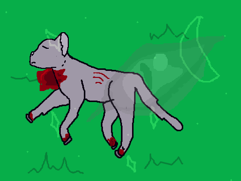 Dead Kitty :C