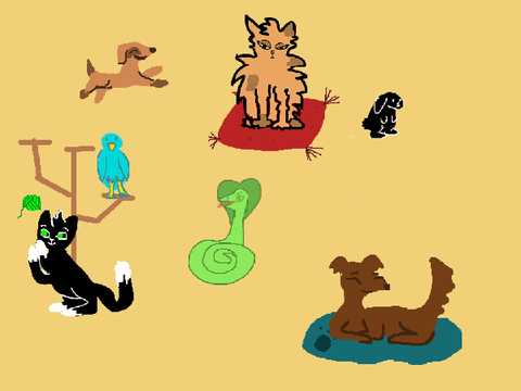 Adopt a pet! remix