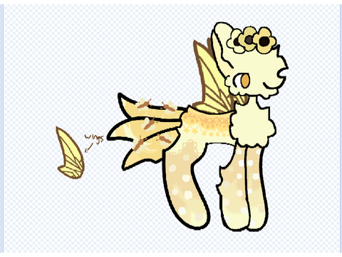 Whimsy ⭐️
