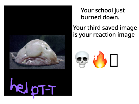 Your school just burned down and your third saved image is your reaction remix