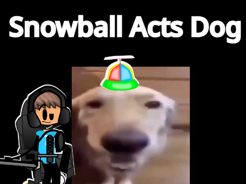 Snowball Acts Dog