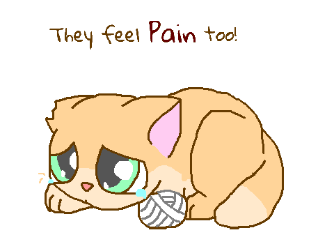 They feel pain too! remix