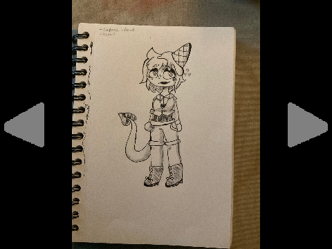 Sketchbooks