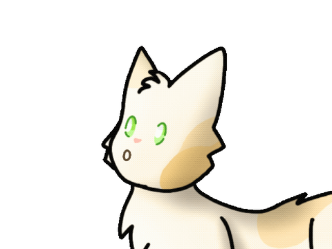 meow