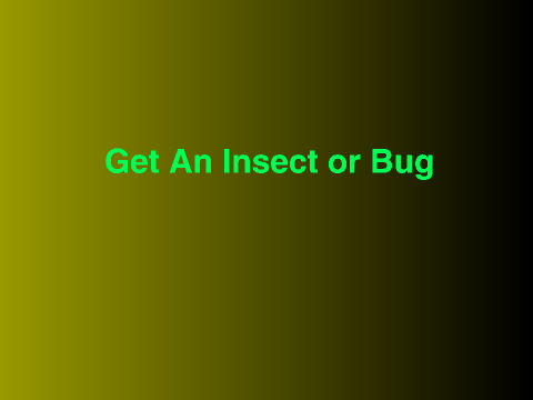 Get an insect or bug