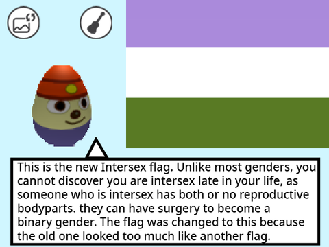 Flag Explanation