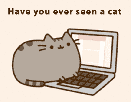 computer cat