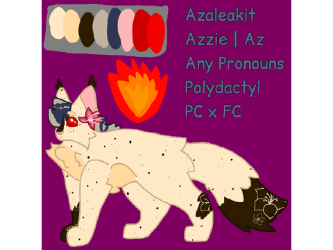 Azaleakit | Azzie