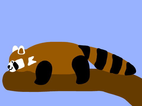 Red Panda