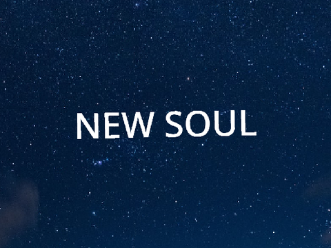 // NEW SOUL || Fake Collab \\