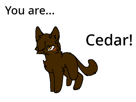 Cedarrrrrrrrr