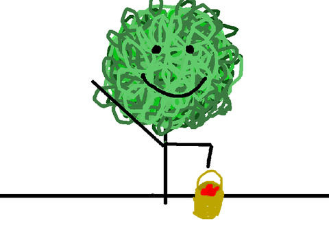 Pflücken
