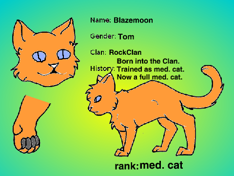 Warriors RP Cat Creator remix by Blazemoon