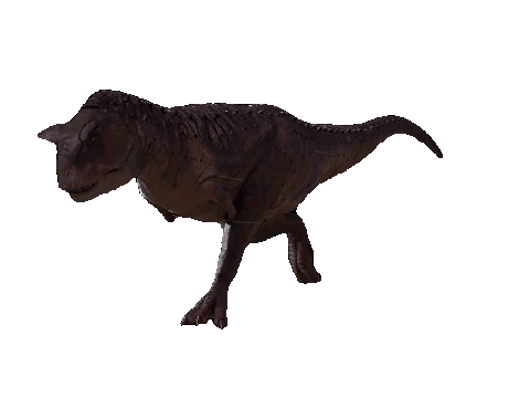 believer Carnotaurus #Carnotaurus #believer