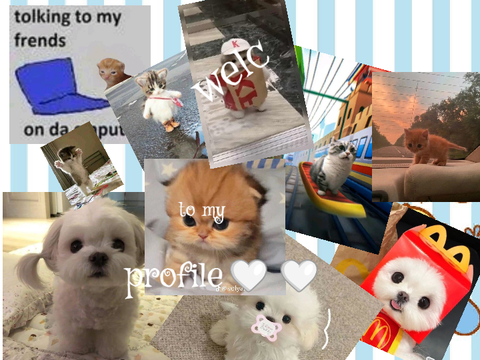  ˚₊‧꒰ა❤︎໒꒱ ‧₊