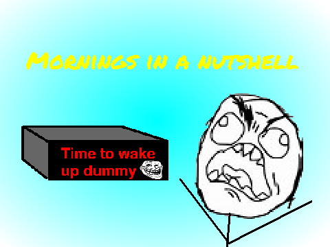 Mornings In A Shellnut
