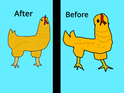Chicken