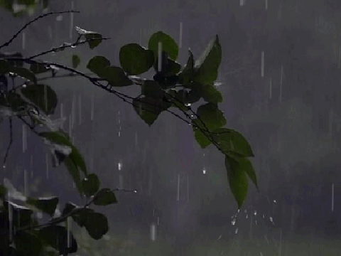 :~`Relaxing Rain Music`~:
