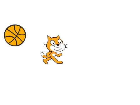 Cat and Basketball