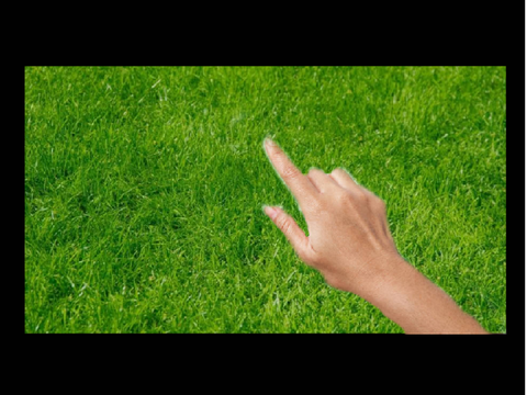 Touching grass irl (not clickbait)