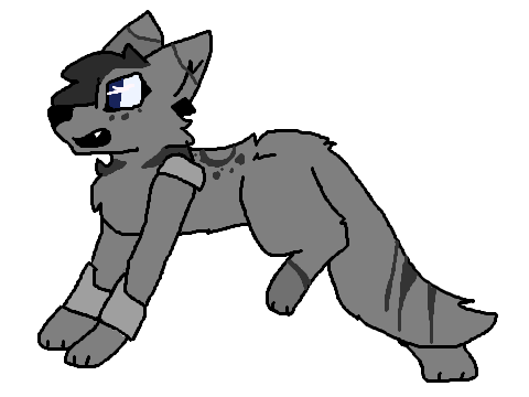 ASH REF