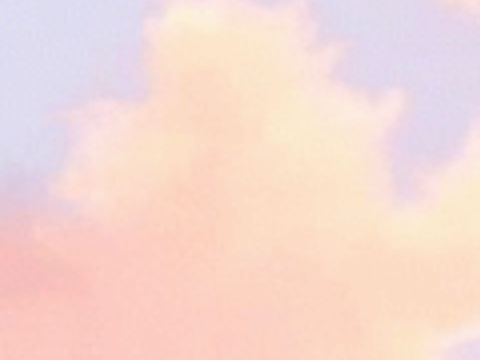 ✿