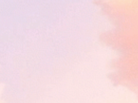 ✿