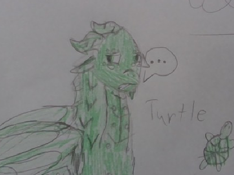 some turtle art :)