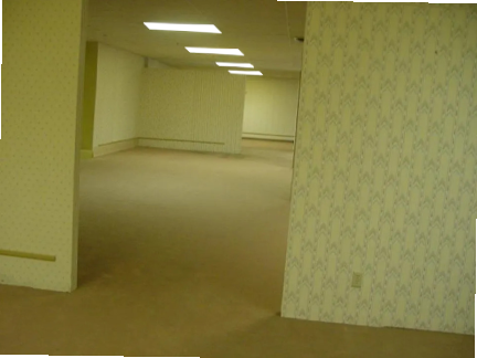 Backrooms (press space)