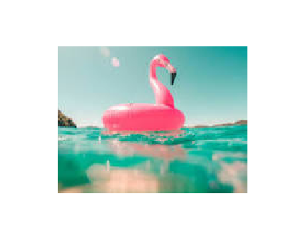 ♡ summer questions ♡