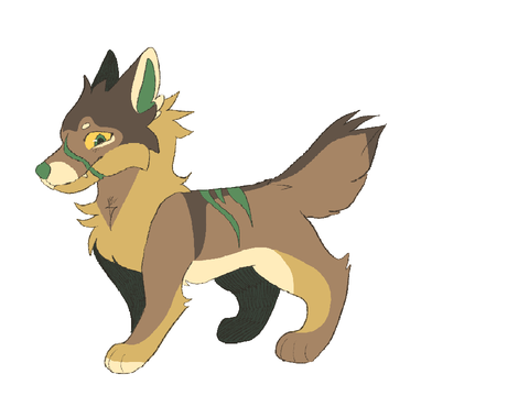 maple
