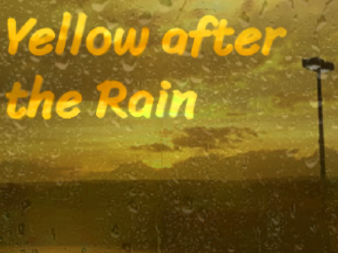 Yellow after the Rain