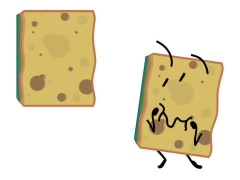 Sponge