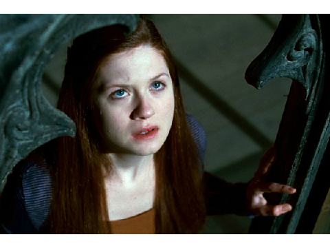 talk to ginny weasley