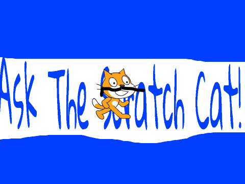Talk To The Cat