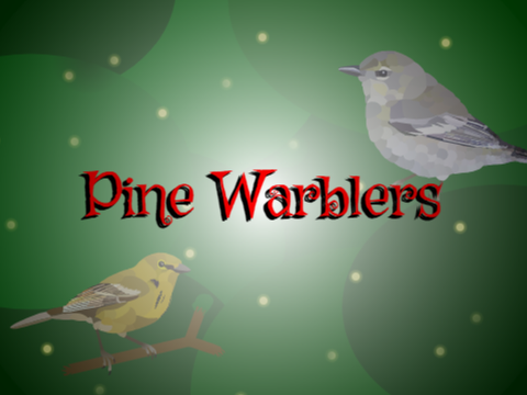 Pine Warblers - Parallax