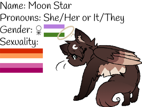  .｡o✧Moon Star✧o｡.
