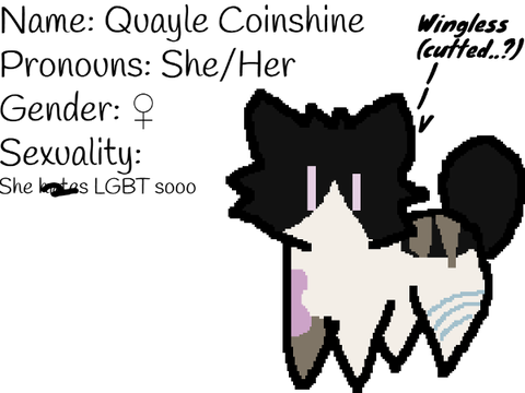  .｡o✧Quayle Coinshine✧o｡.