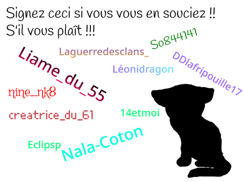 Sauvons les chats noirs !!!... remix remix remix  remix remix
