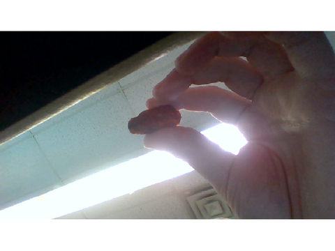 Terrifyingly Large Raisin
