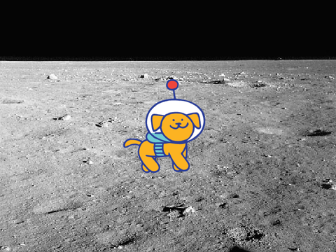 My first program.