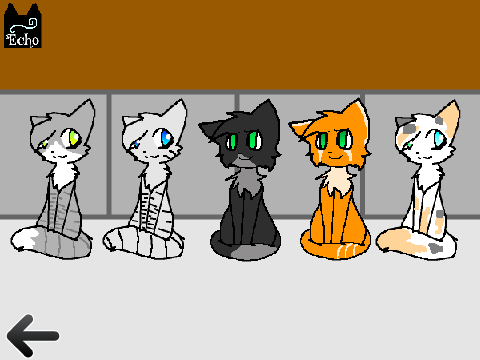 Echostep's Shelter