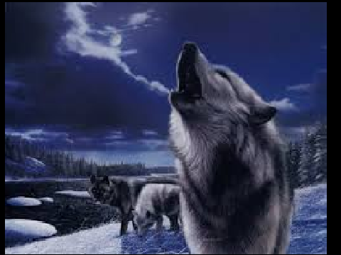 Wolf Songs p.5  remix-2