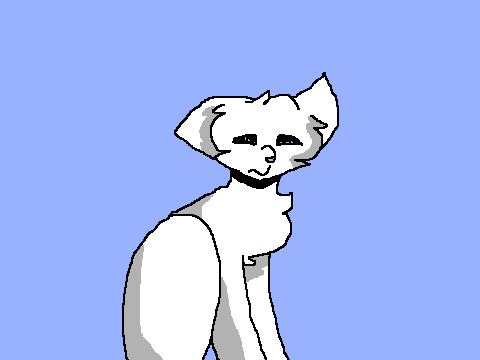 100 followers contest entry!